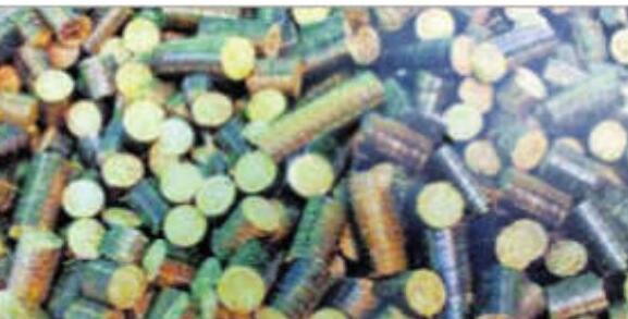 मुंबई के शवदाह गृहों में इस्तेमाल होगी सीएनजी, पीएनजी या बिजली