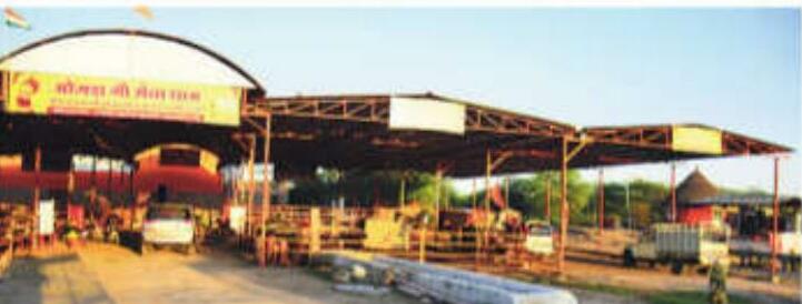 गाय बचाने की मुहिम...कथा के चढ़ावे से 5 साल में 30 गांवों में बना दी गोशाला, 100x100 फीट जमीन पर बनेगा वेटरनरी अस्पताल