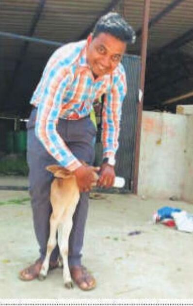 गर्मी में पशु-पक्षियों की बुझा रहे प्यास