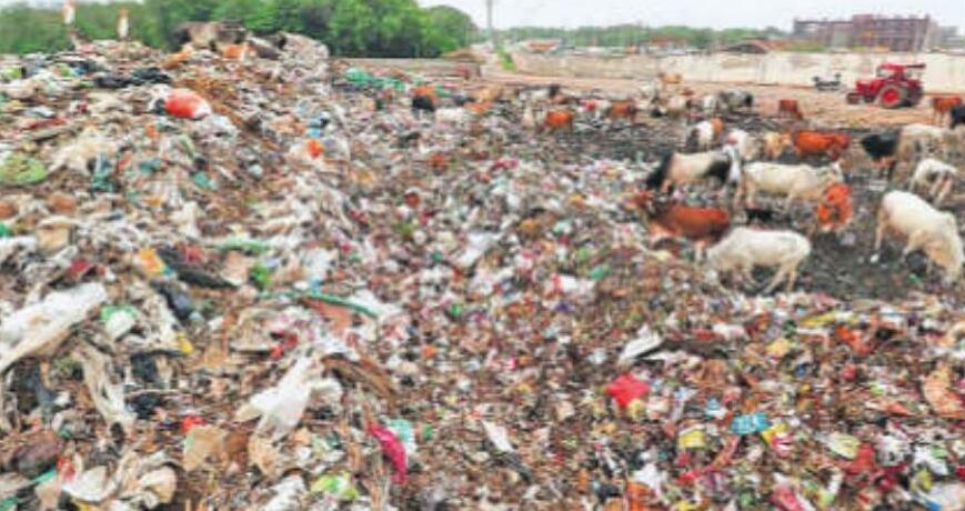 कचरे से बिजली-गैस तैयार करेगी मनपा