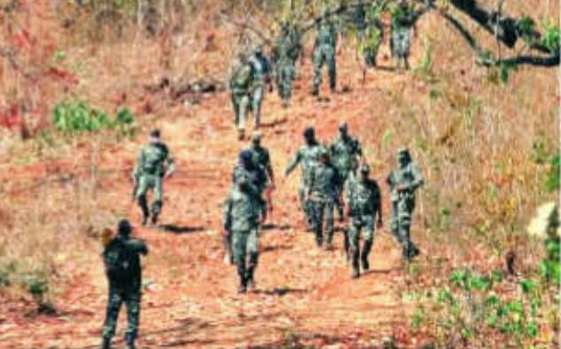 गडचिरोली : नक्सलियों की संख्या में आई कमी, आंकड़ा 50 के करीब पहुंचा