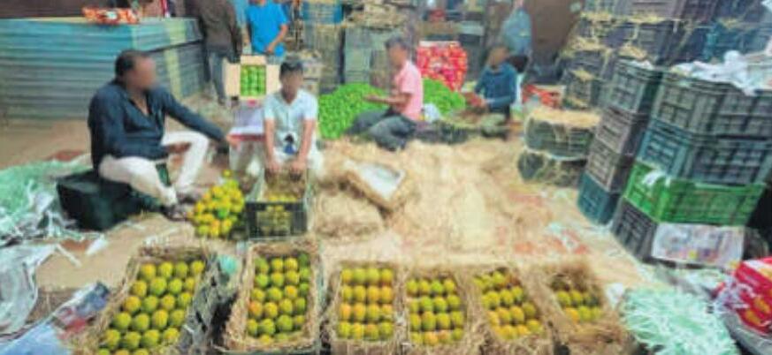 कोंकण हापुस के नाम पर लोगों को धड़ल्ले से बेचे जा रहे कर्नाटक और आंध्र प्रदेश के आम