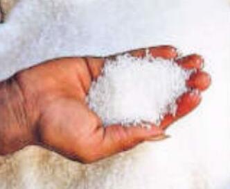 भारत ने इस साल अप्रैल तक 4.24 लाख टन चीनी का निर्यात किया : एआईएसटीए