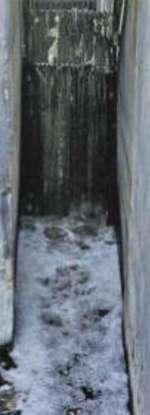 द्रव्यवती सीवर फ्रंट; ट्रीटमेंट प्लांट काम नहीं कर रहे, प्रदूषित पानी पास कर रहे 320 फैक्ट्रियों का केमिकलयुक्त पानी सीधे ही छोड़ रहे, इससे तैयार सब्जियां मंडी में बिक रहीं