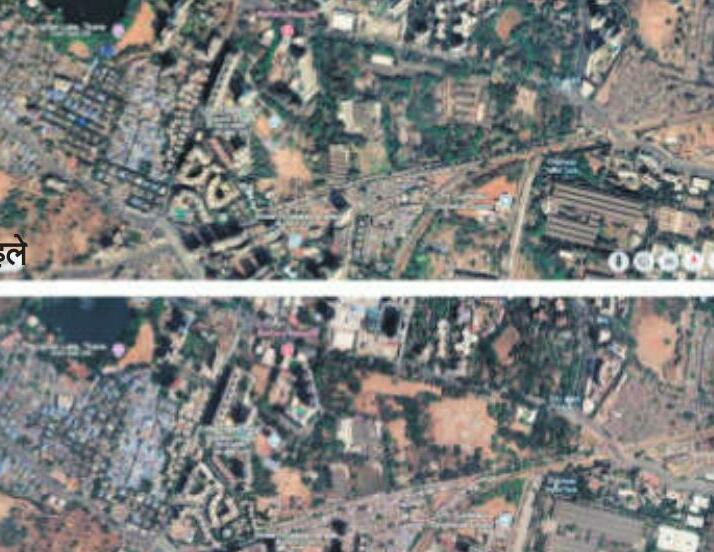 बिना अनुमति काटे 1300 से ज्यादा पेड़, सैटेलाइट इमेज से हुआ खुलासा