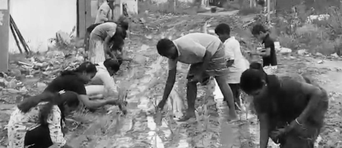 அடிப்படை வசதிகள் கேட்டு நாற்று நட்டு போராட்டம்