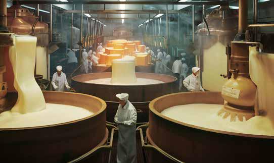 Cheese Industry: Diving Into The 'Soul' of Modern Bakeries