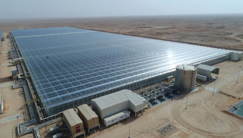 OMAN'S ENERGY REVOLUTION: BRIDGING HYDROCARBONS AND GREEN HORIZONS