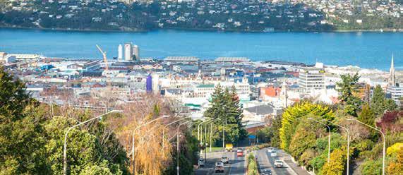 New Zealand slashes 2050 biogenic methane target