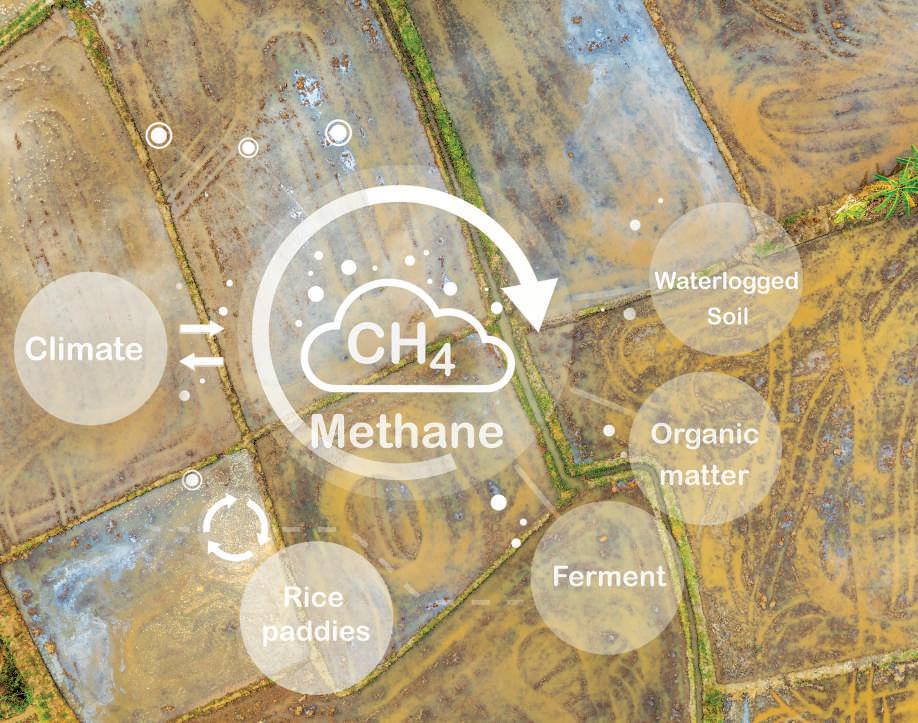 Global methane trajectory sounds alarm as nations race to respond