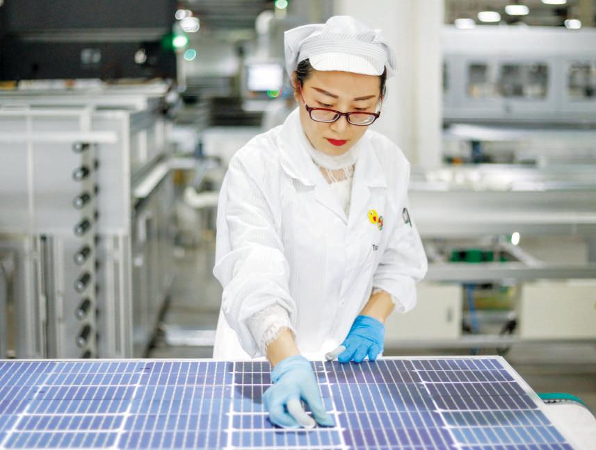 Global renewable energy surges as solar and wind reshape power landscape