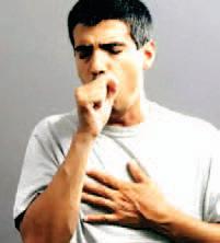 New research could help improve future whooping cough vaccines