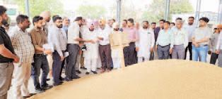 Punjab Mandi Board Chairman HS Barsat launches wheat procurement in Patiala