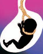Haryana moots police cell in each district to curb illegal sex determination