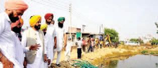 State-Level Haroli Utsav 2025 to begin on April 27; preparations in full swing