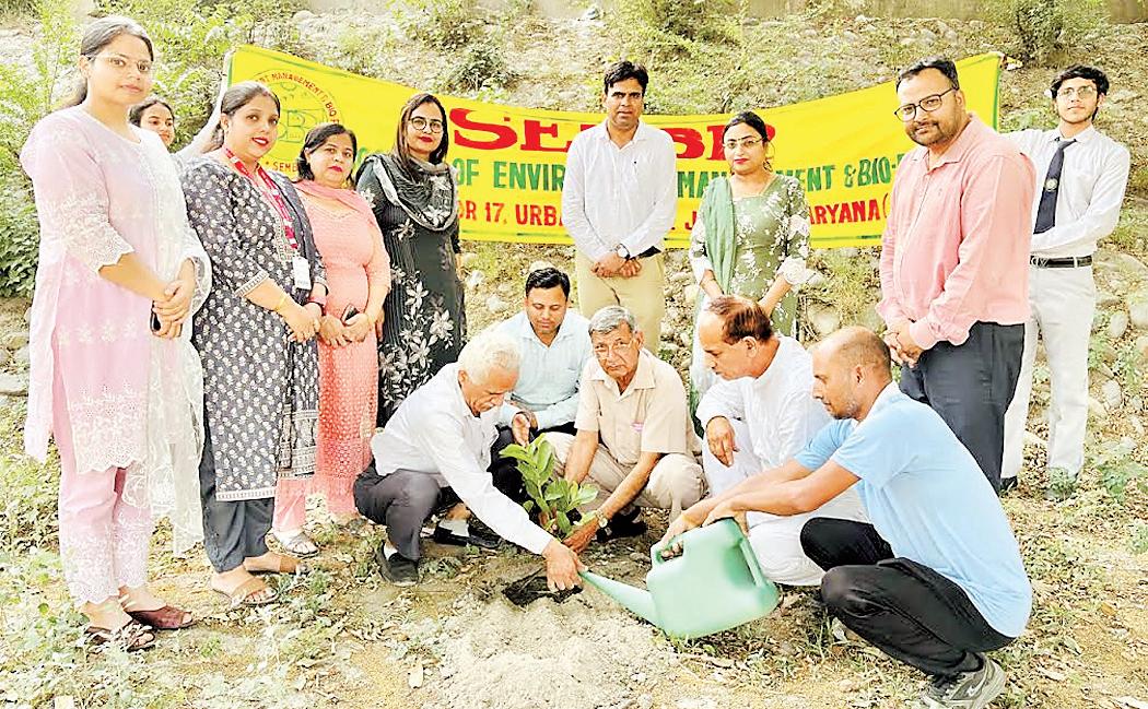 Seminar and tree plantation held to mark World Earth Day 2025