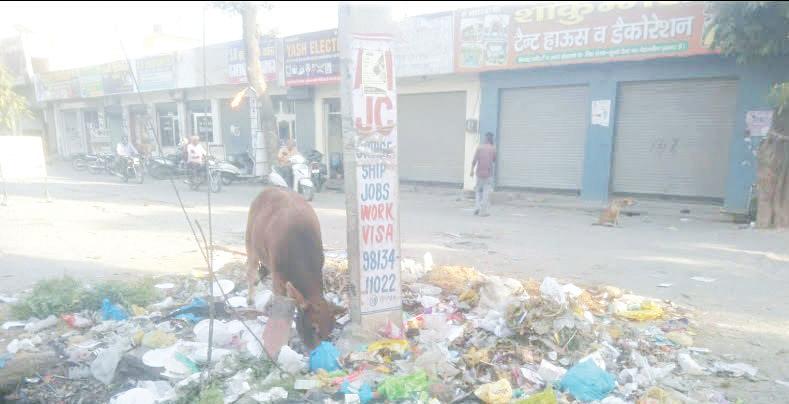 Piles of garbage on the main squares of Radaur city, anger among people