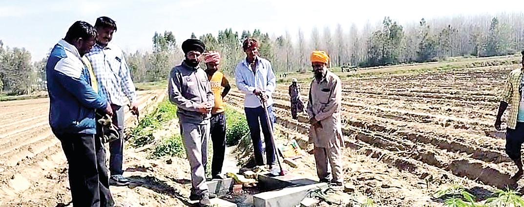 After 40 years, canal water returns to Punjab fields : Goyal