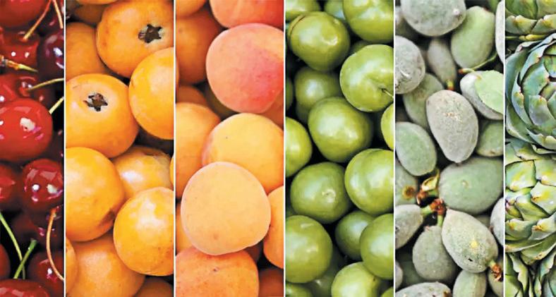 India's fruit traders boycott Turkish goods over support to Pakistan