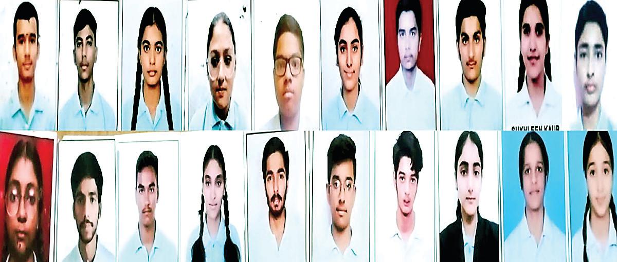 Sri Guru Harkrishan Public School's Class 12th results excellent