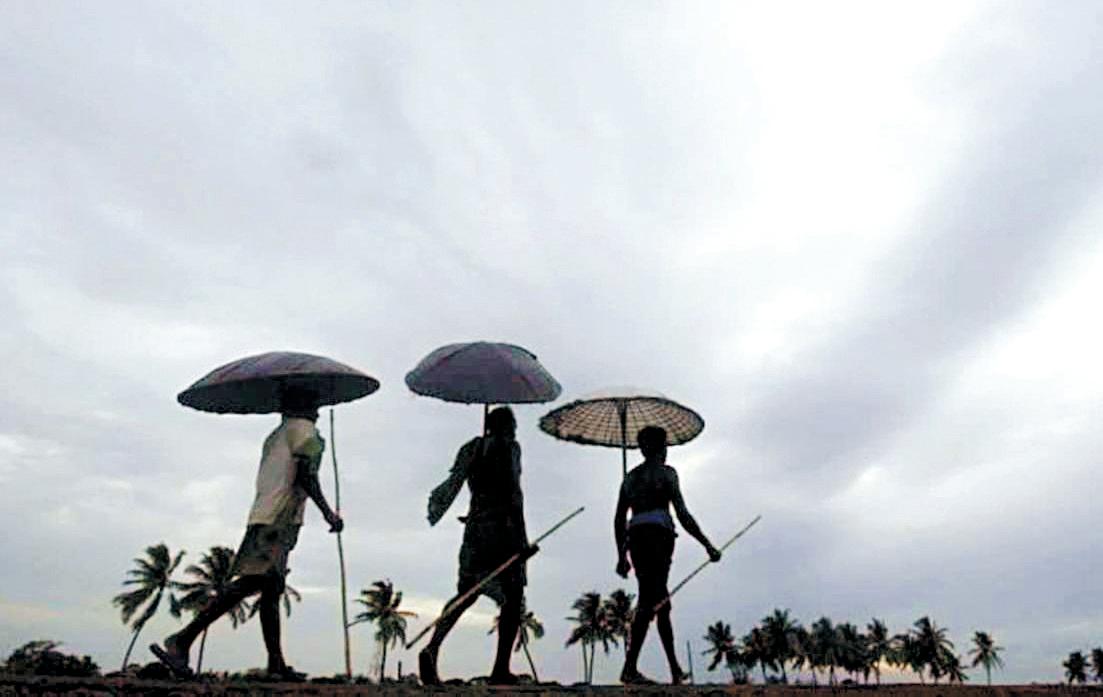 Monsoon likely to reach Kerala in 4-5 days: IMD