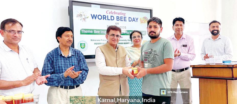 Bees increase agricultural productivity through pollination, helps biodoversity: Prof. Suresh
