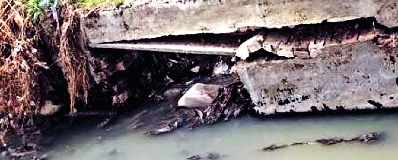 Information sought on Rs 65 lakh released for dev of Shanti Kunj Park in old Sunny Enclave, Kharar