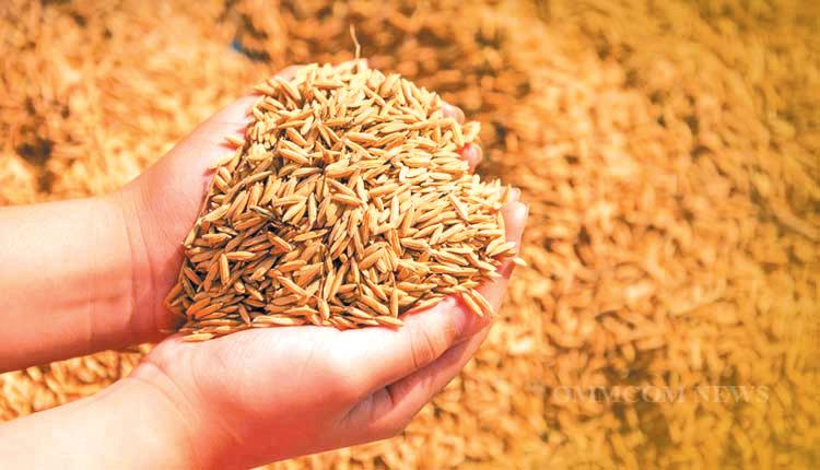 Centre raises paddy MSP by 69 to Rs.2,369 per quintal