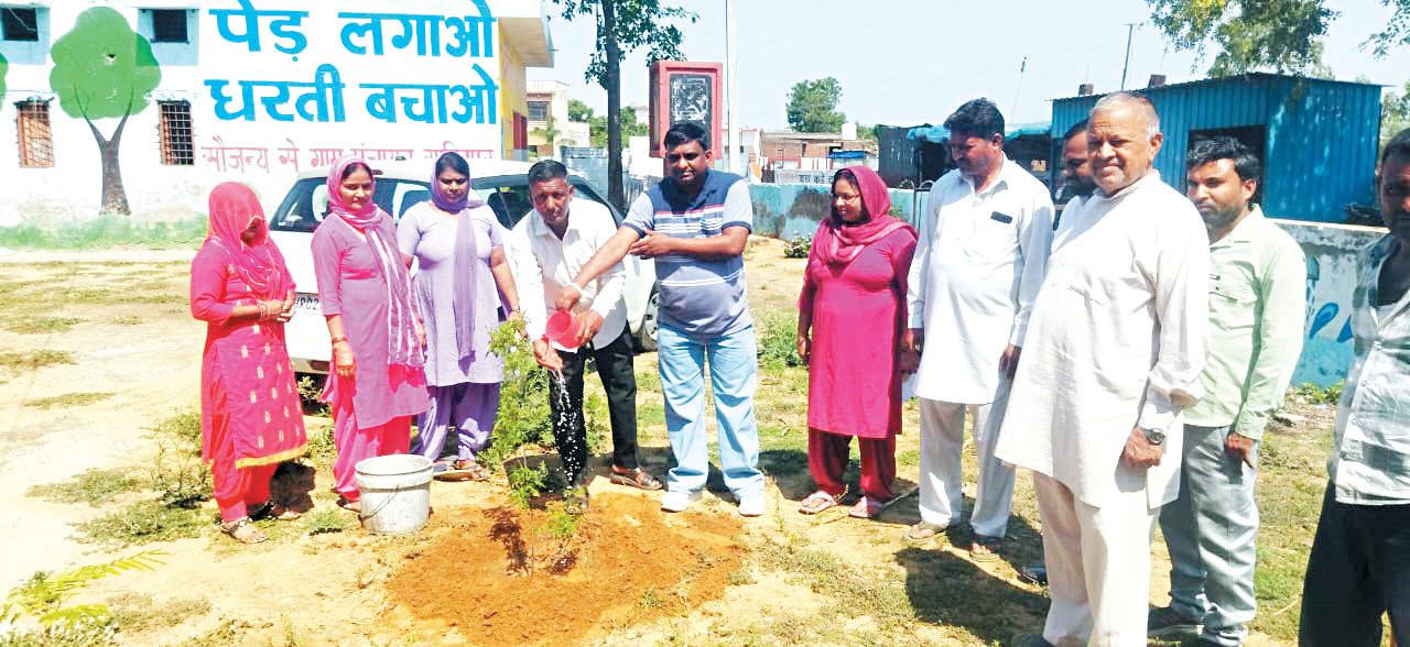 People's cooperation must in environmental protection: Sarpanch