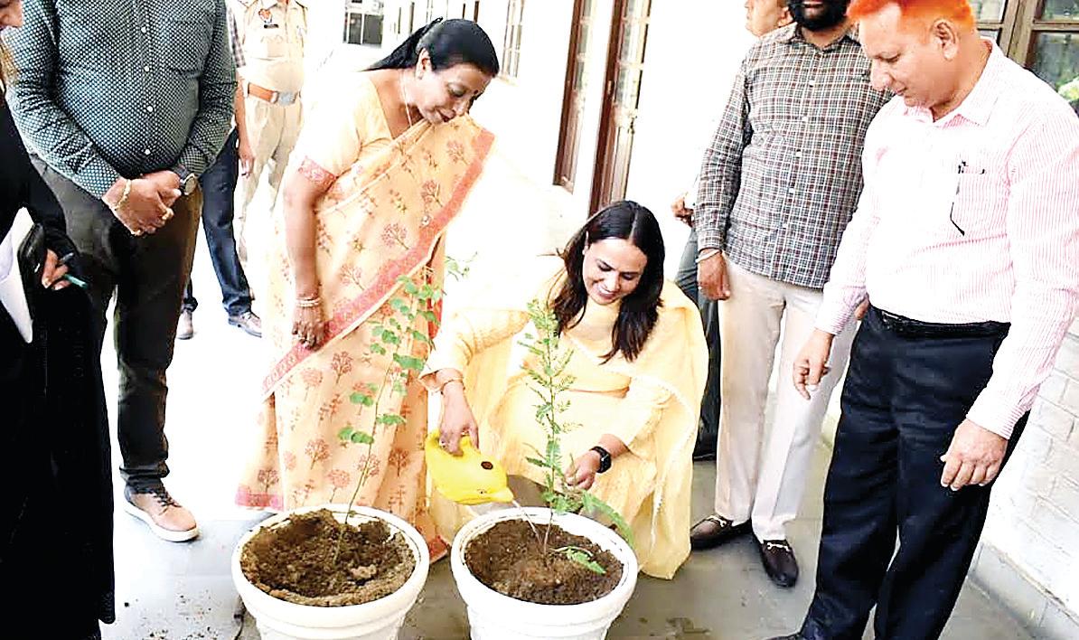 ADC emphasizes on not using plastic and adopting alternative measures
