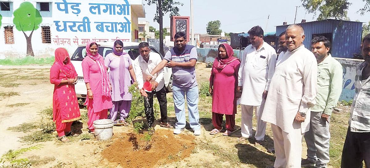 World Environment Day celebrated with plantation drive and tree care initiatives in Ladwa