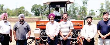 Punjab govt launches pilot project to promote maize cultivation