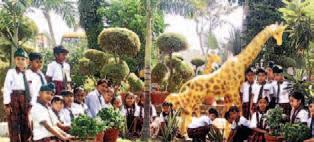 World Environment Day celebrated in Falcon School
