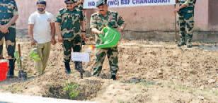 BSF Western Command observes World Environment Day