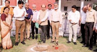 KU VC leads tree plantation drive on World Environment Day