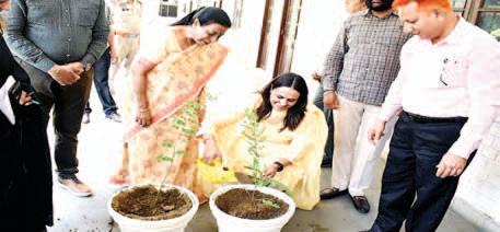ADC emphasizes on not using plastic and adopting alternative measures