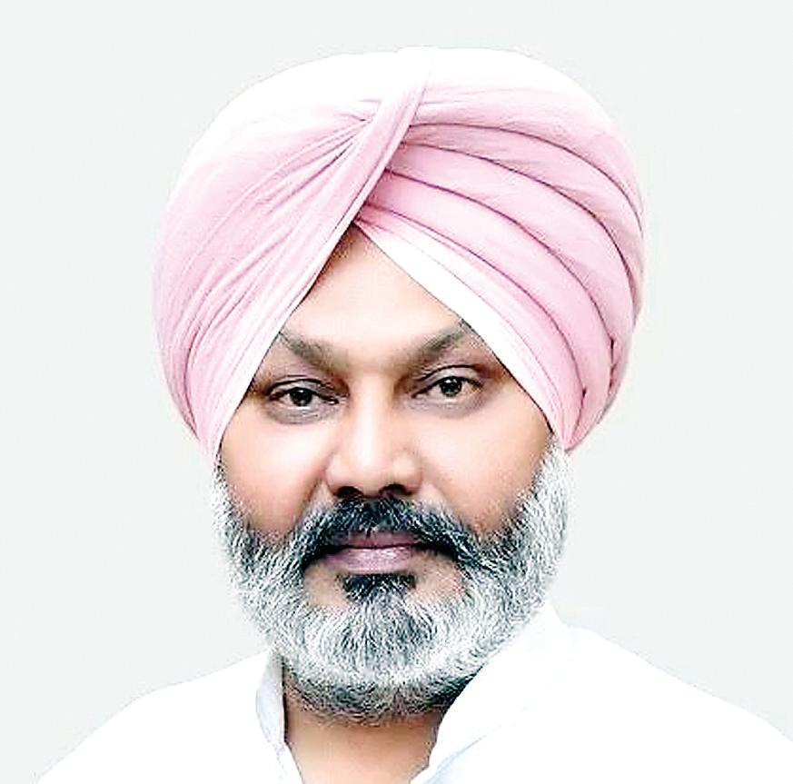 Govt propels industrial growth with incentives worth Rs 180 crore in first two months of FY 2025-26: Cheema