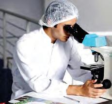 Natural compound targets tumour metabolism: Study