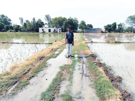 People of Indira colony troubled due to unpaved road