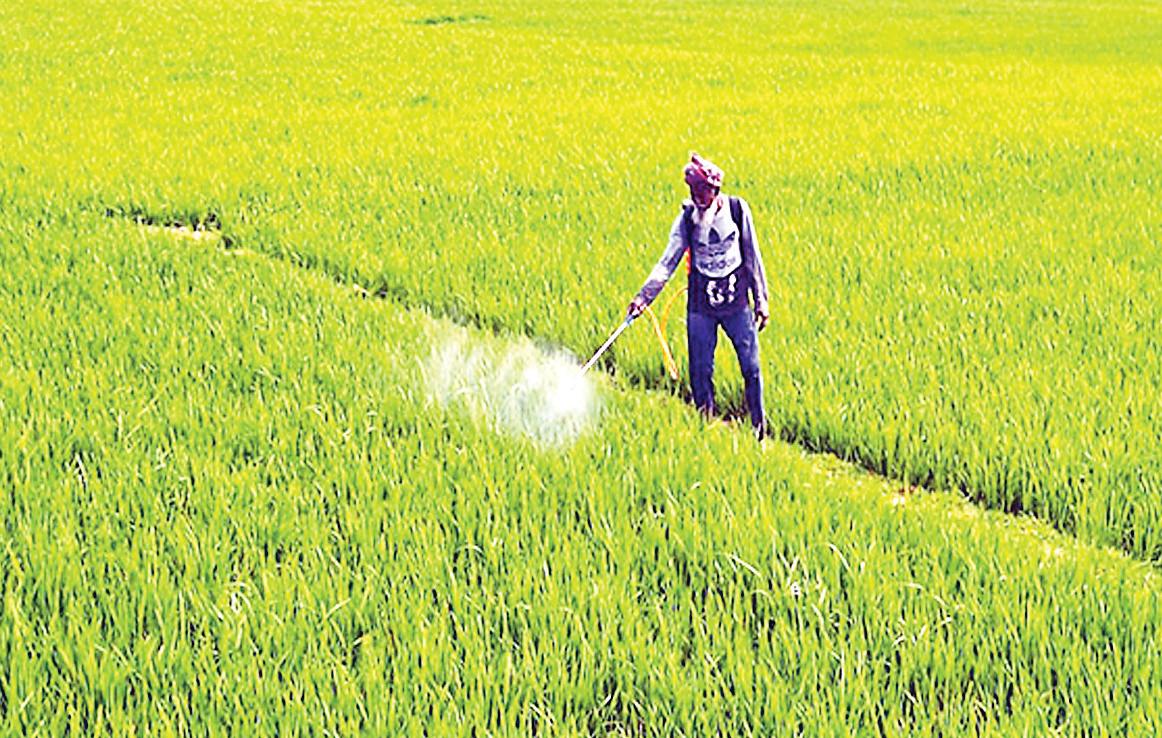 India's agrochemical exports set for moderate rebound in FY25