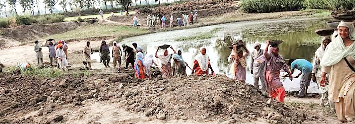 SDM Barnala reviews work of cleaning drains and ponds