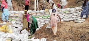 District Admin Patiala fully prepared to tackle any flood-like situation during monsoon: DC
