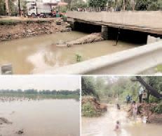 Ghaggar branch canal breach near village Kotra Lehal, crops damaged, department in hurry