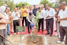 Active participation of all citizens is necessary for environmental protection and survival: DC