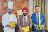 'Go Man-Go' Festival Kicks Off at Velvet Clarks Exotica, Zirakpur – Chandigarh