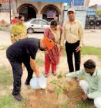 Divisional Vice President Vidushi Rai playing important role in the Ek Ped Maa Naam campaign