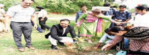 Jalandhar judges plant saplings under 'Mission: One Judge One Plant' to promote green consciousness