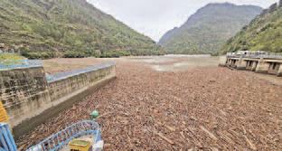 CID to investigate forest wood floating in Pandoh Dam after cloudburst