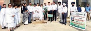 'One Judge, One Tree' drive held at SBS Nagar Court Complex