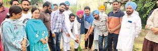 Everyone should plant more and more trees to save polluted environment: Dev Mann